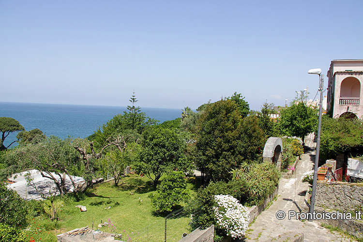 Sant'Alessandro_Ischia Porto