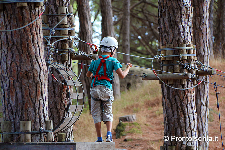 Adventure Park_Fiaiano_Barano