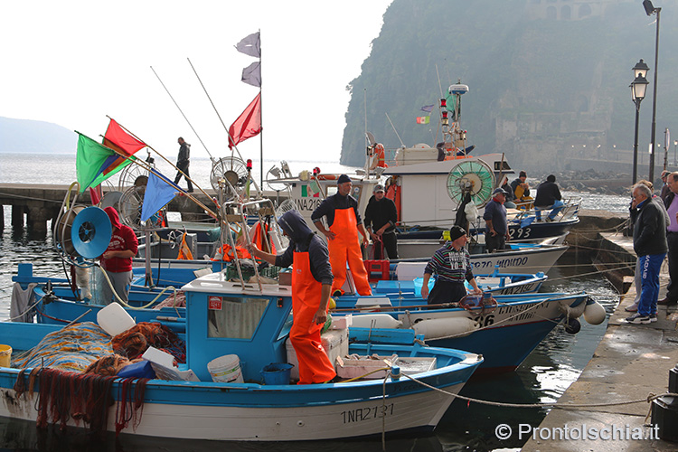 Pescatori_Ischia Ponte