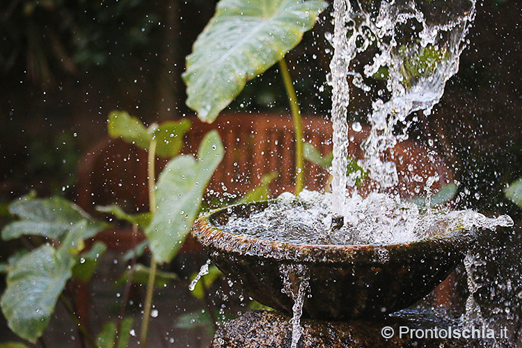 I Giardini La Mortella