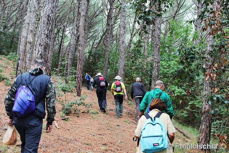 Trekking a Ischia_Casamicciola